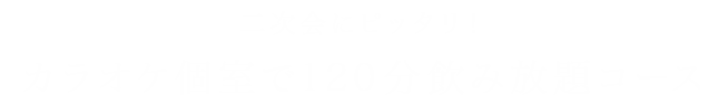 カラオケ個室で120分飲み放題コース